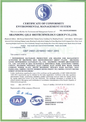ENVIRONMENTAL MANAGEMENT SYSTEM CERTIFICATE