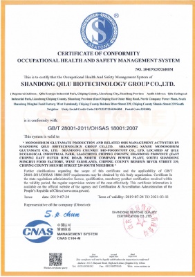 OCCUPATIONAL HEALTH AND SAFETY MANAGEMENT SYSTEM CERTIFICATE